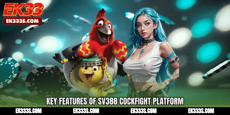 Key Features of SV388 Cockfight Platform