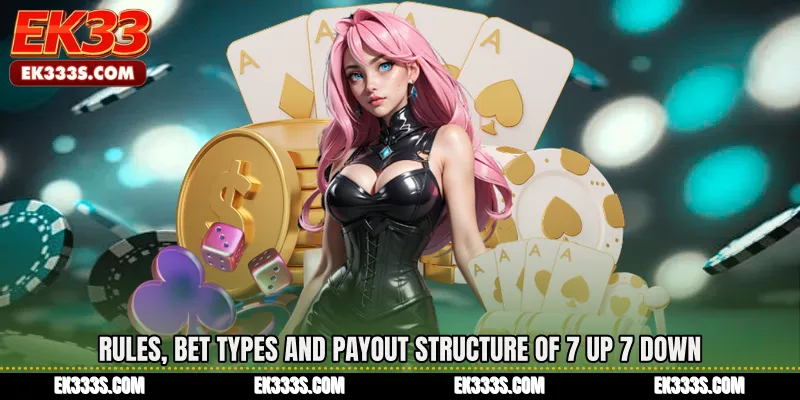 Rules, Bet Types and Payout Structure of 7 Up 7 Down