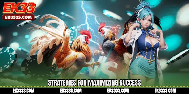 Strategies for Maximizing Success