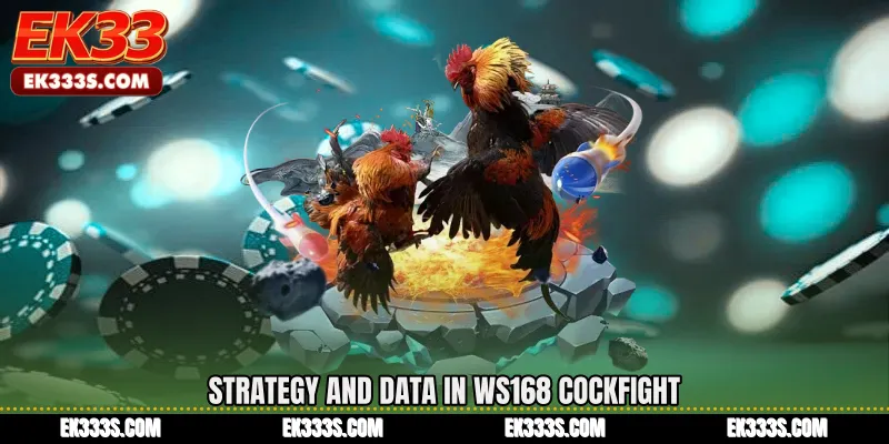 Strategy and Data in WS168 Cockfight