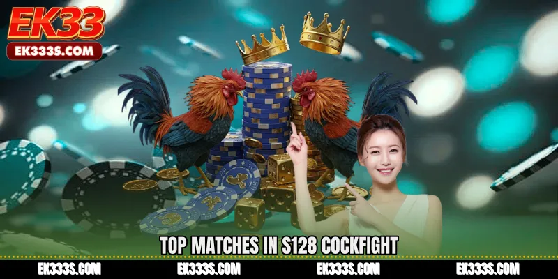 Top Matches in S128 Cockfight