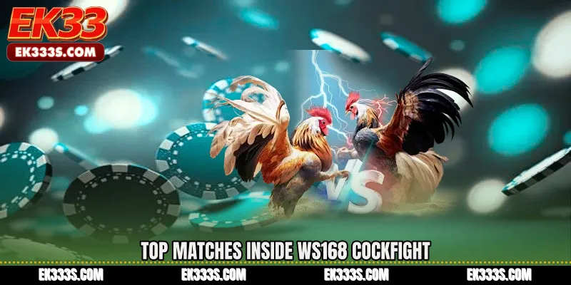 Top Matches Inside WS168 Cockfight